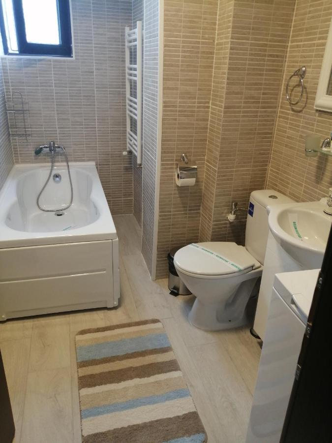 Mathias Luxury Apartments Iasi Extérieur photo