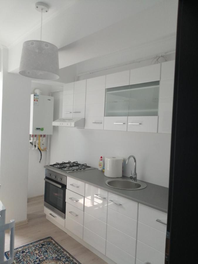 Mathias Luxury Apartments Iasi Extérieur photo